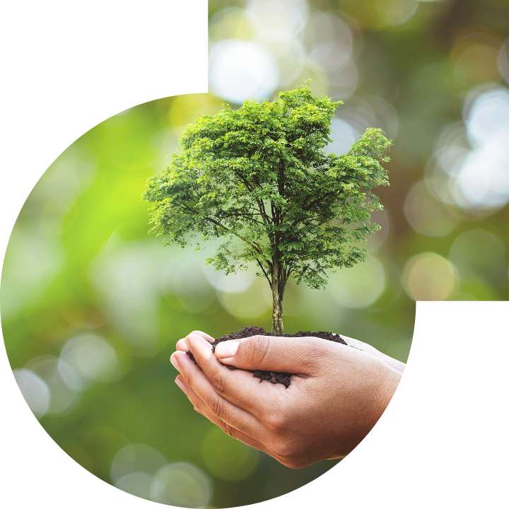 關懷人類、文化、環境與社會